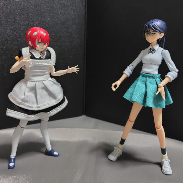 本格的キラキラレスリング