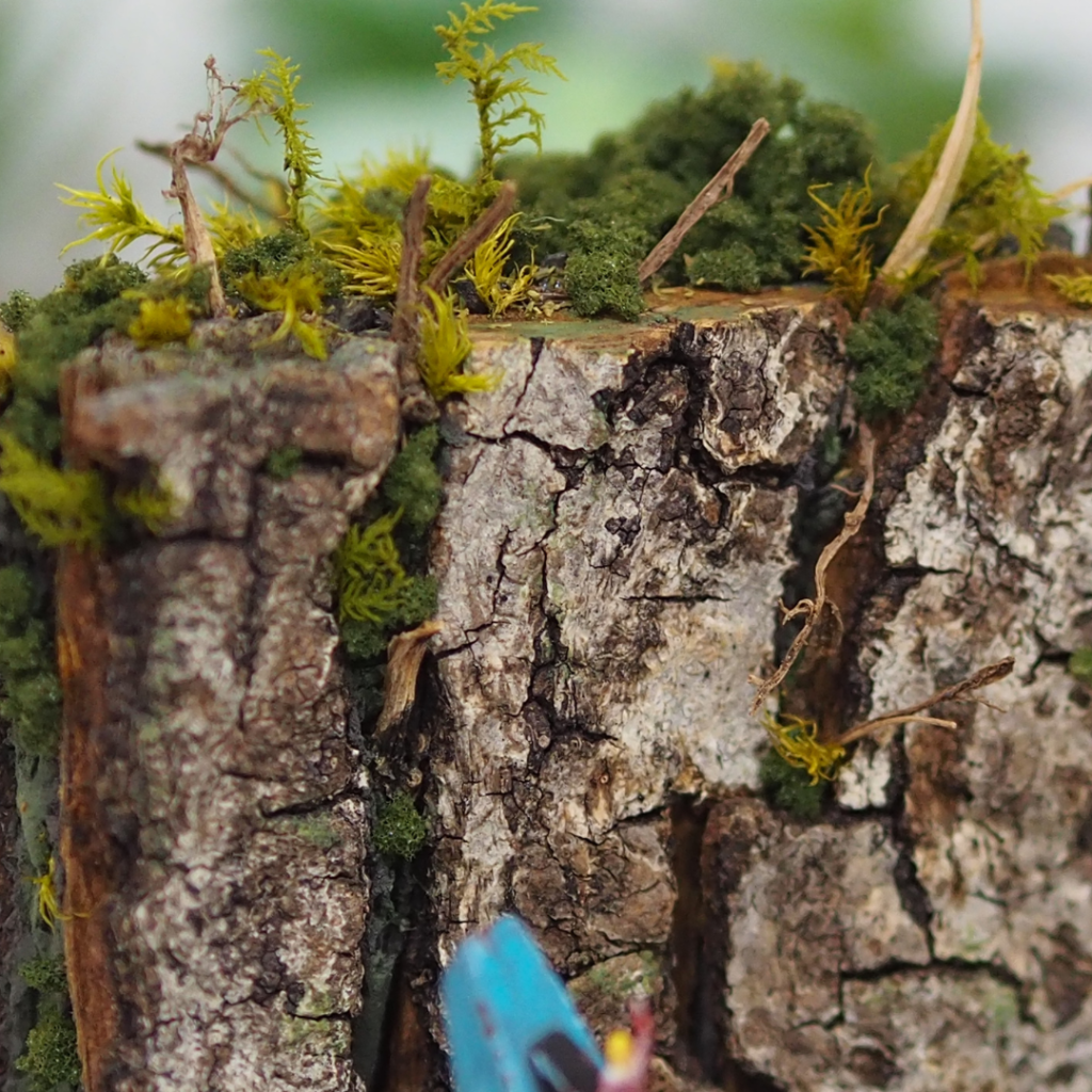 朽木は３分割し隙間にグリーンを詰め込んでます。着色したスポンジと百均のプリザーブ。あと枯らせてしまった観葉植物の残骸を流用。