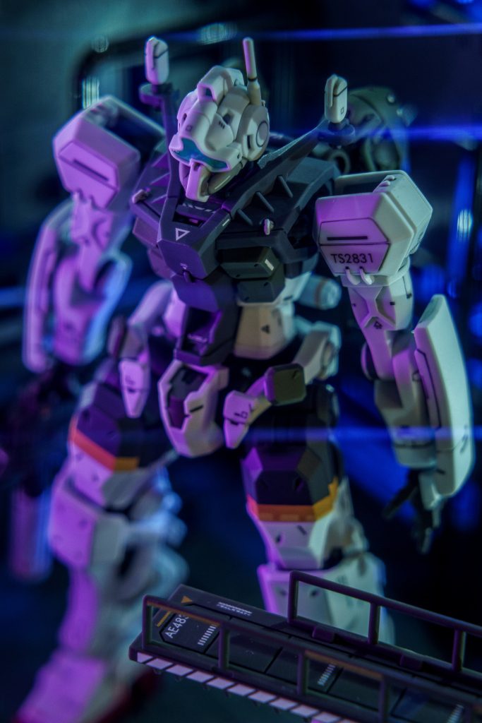 少し遊び心のあるレンズで撮影。