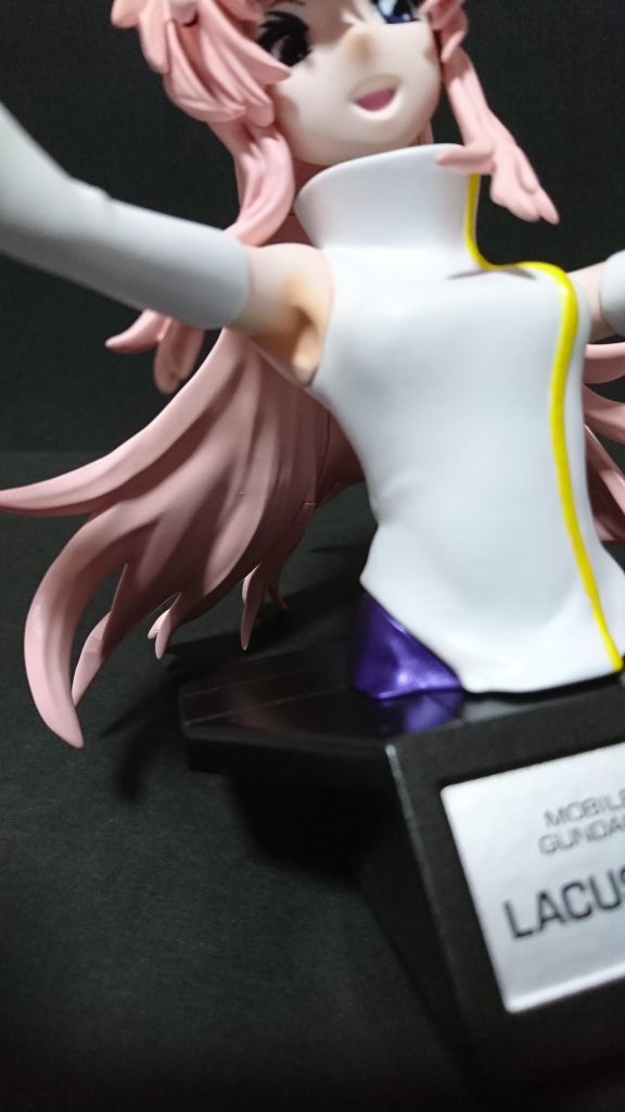 このキット関節類ないから当然アレもあるのです・・・・そう、それは腋!!このラクス様歌っているポーズですが腕を上に挙げてるから叡智なとこが見えてるのでここを入念にお化粧施しましたw(謎の拘り)