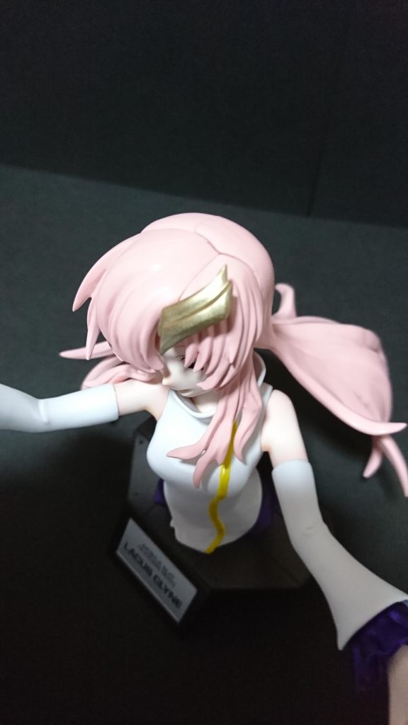 髪の毛ですがラクスは赤みのあるピンクですが作中ではただのピンクのとこもありバラバラでどれが正しいのか分からないので普通のピンクにしました😅