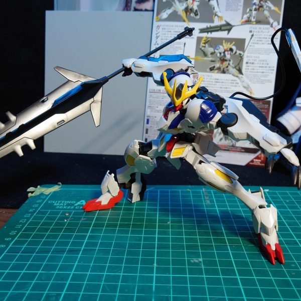 念願の……ルプスレクス！！！！