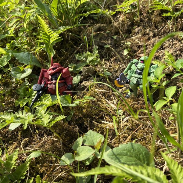 シャア専用ザクⅡ&ドアン専用ザク