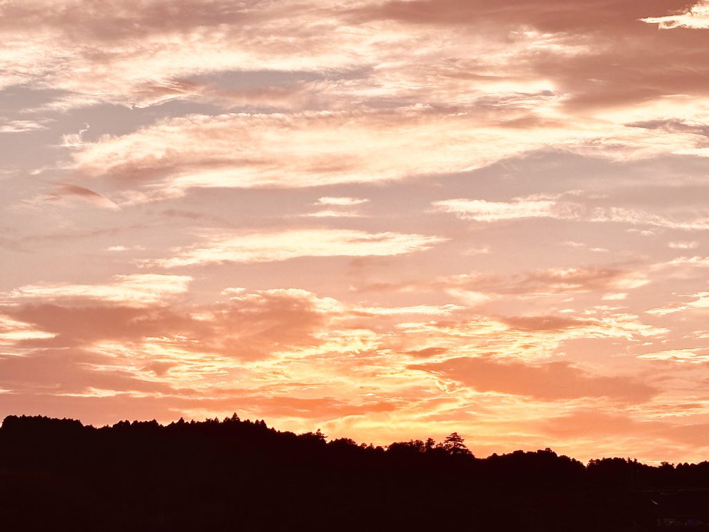 　ヘントは、しばらく無言でマジックアワーの空を見つめていた。刻一刻と日が傾いていき、黄金だった空は、徐々に紫色に変わっていく。その様子もまた、美しかった。「除隊すればいい。」　言ってから、ミヤギの顔を、もう一度正面から見つめる。目を丸くしている。「一緒になろう。俺の帰る場所を、君に守ってほしい。」それで、君の安全も守られるなら、何よりも嬉しいことだ、と付け加える。　ミヤギはしばらく呆然とした後、ハッと我に返る。