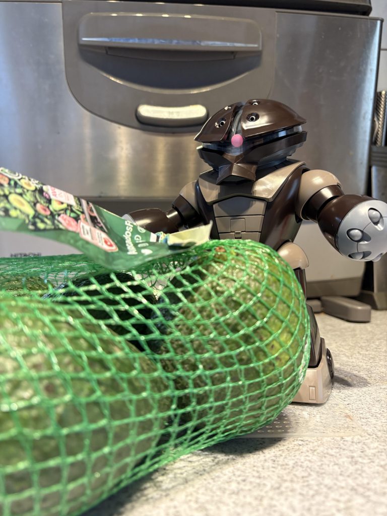 アボカドとアッガイ