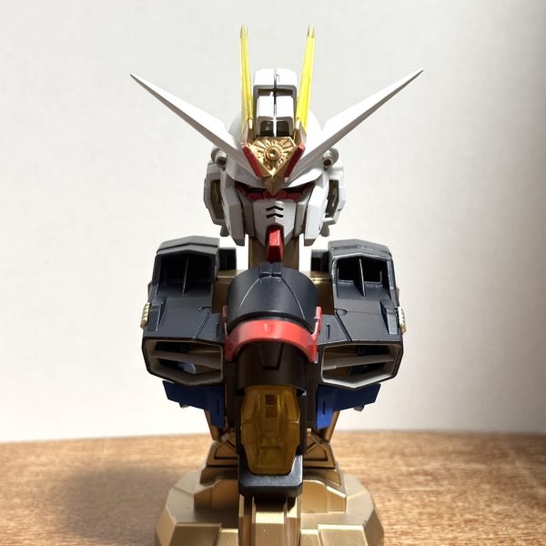 【メカニカルバスト】ストライクフリーダム弐式【クリアカラー×塗装】