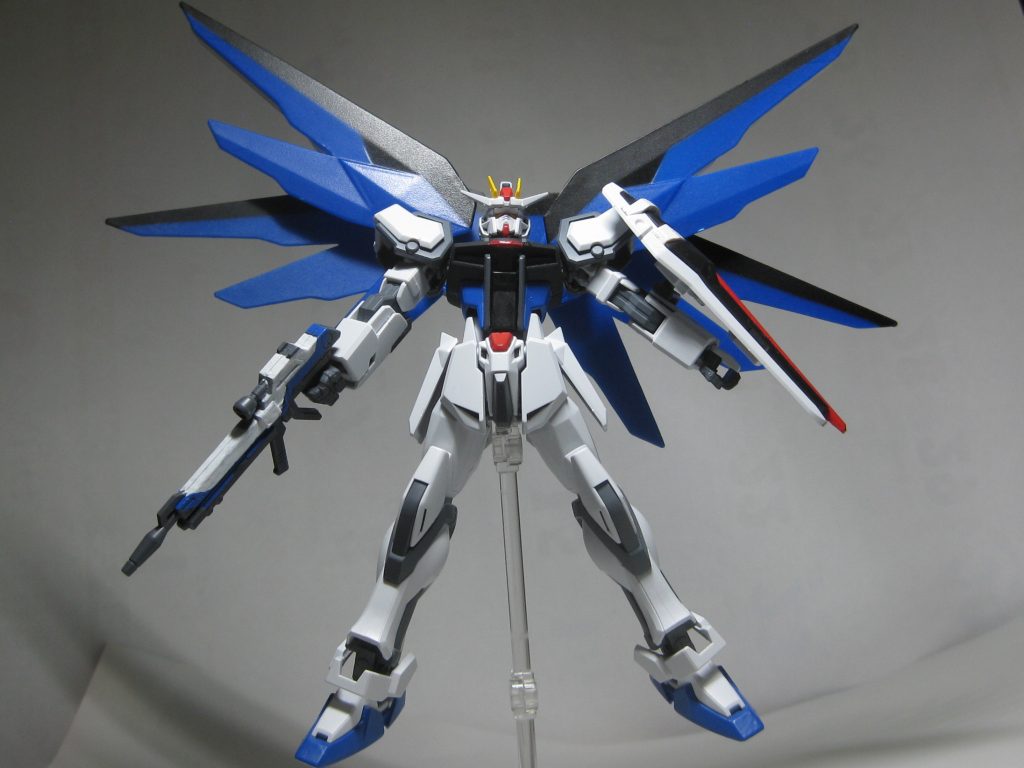 全体を写すとこんな感じです。しかしながらハイマット、でかくて画角に入りきるギリギリですね。