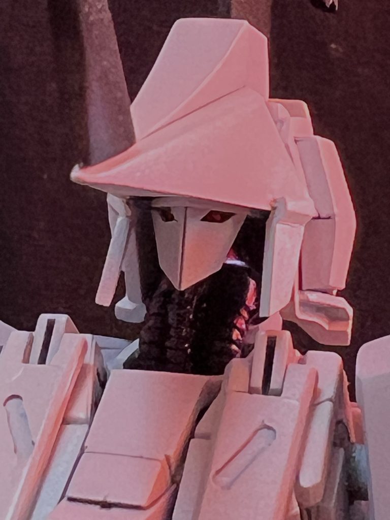 ご覧頂きありがとうございました❗️暑い日が続くので熱中症にお気をつけ下さい