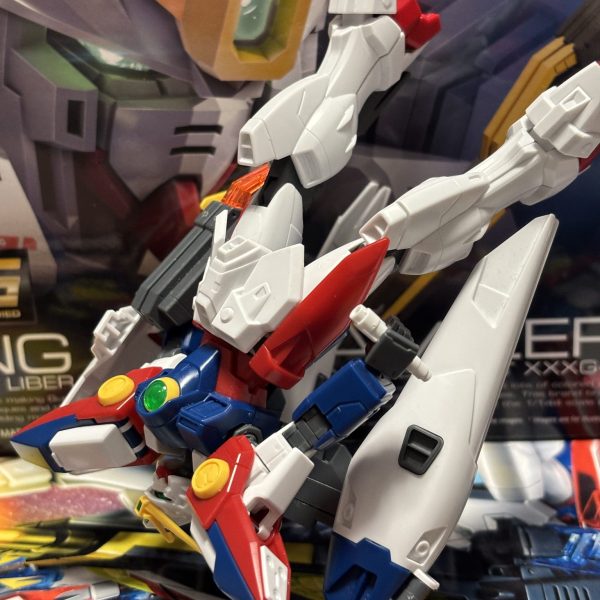 エピオンにはお前が乗れ、俺には奴(トレーズ)の考えが理解出来ん