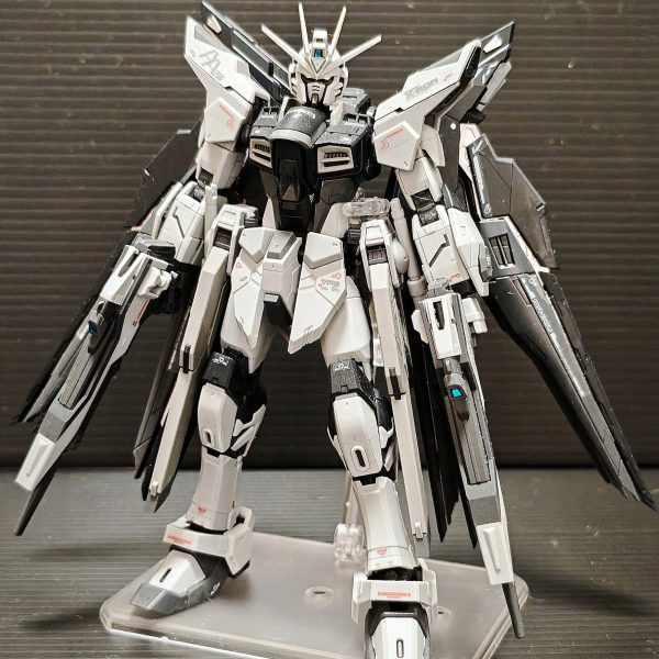 塗装完成品 RG フリーダムガンダム ジャンク品 ジャンク品rgストライクフリーダム｜kaihaさんのガンプラ作品