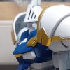 Aionomen