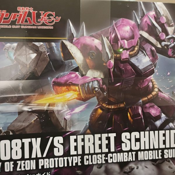 次のプロジェクト: HGUC イフリート・シュナイト