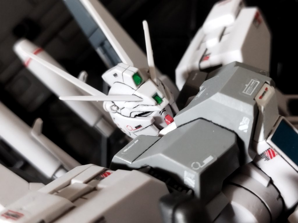 お顔。ちょっとムスっとした感じがブルドッグぽくて好き（ 個人の感想です（笑））