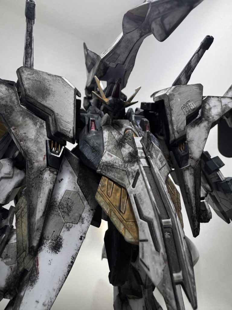 正面ななめからどう頑張っても、鳥頭のせいで顔が影に入ってしまう・・・