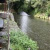 かるすも
