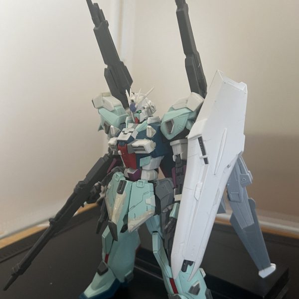 リ・ガズィ カスタム セカンド