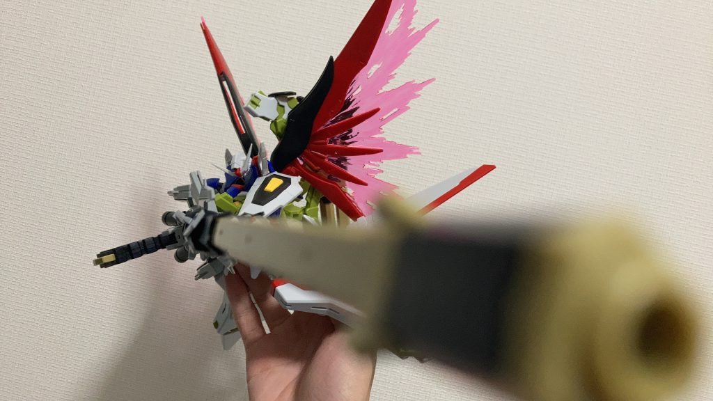 撮影ベースに入らなかったゼウス!