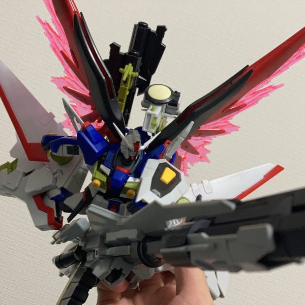 過去から現在までの趣味写真まとめ