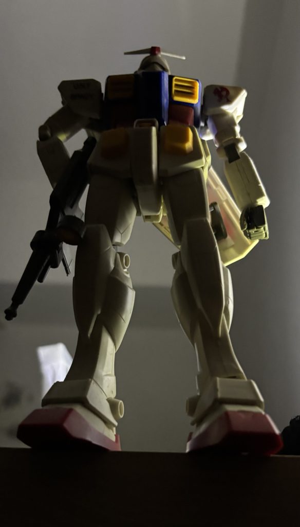 ほぼ３０周 回ってカッコイイのかな？？