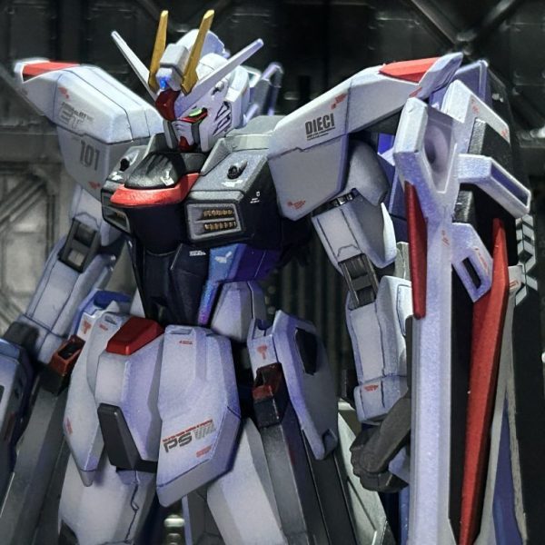 HGCE フリーダム