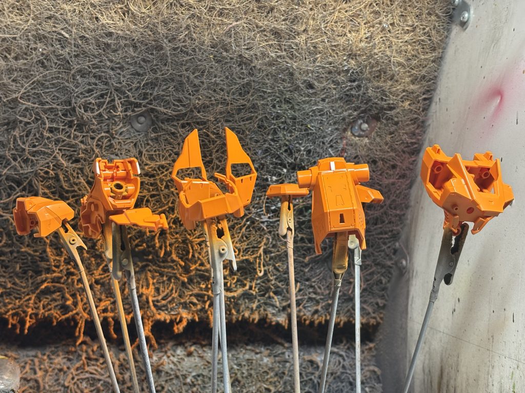 エヴァオレンジ