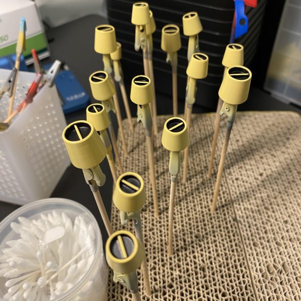デビルガンダム鋭意製作中！初めての改修をデビルガンダムで実施中です。先達方がかっこいい改修事例を挙げてくれているのほんと助かる。夏休み中に終わらせたかったけど全然終わらなかった…追記　8/26サフまで吹きました！表面処理大変過ぎる…しかもまだ甘いとこ多い…とりあえず今後の課題ということで先に進めます。いやしかしサフの状態かっこいいな。フジツボ塗り分け辛い…（7枚目）