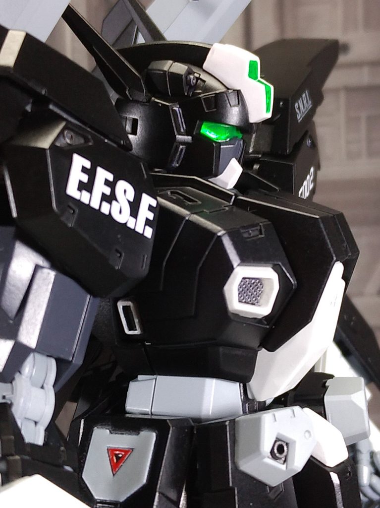 F80ガンレイド〔バズ･ガレムソン専用機〕