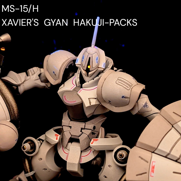 MS-15/H XAVIER’S GYAN HAKUJI-PACKS
