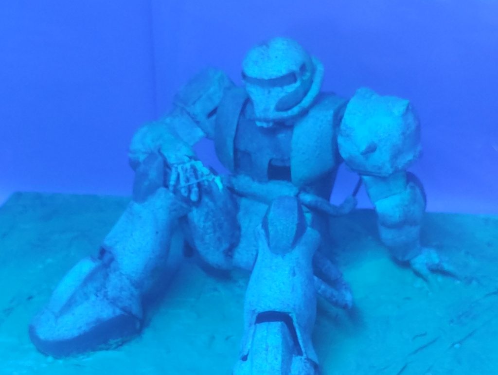 ちょっと上からの撮影