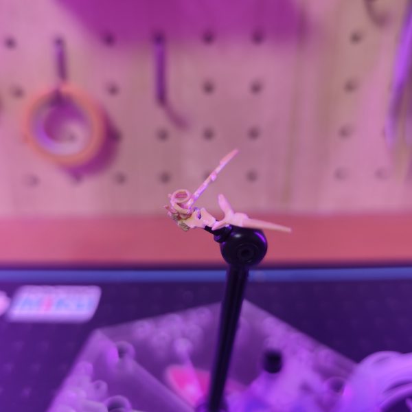 ウーンドウォートのツノみたいな感じにしました！（6枚目）