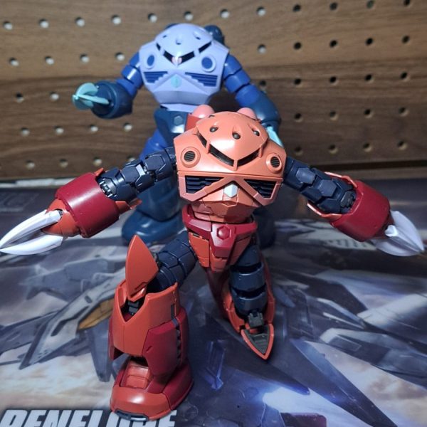 シャア専用ズゴックとズゴック