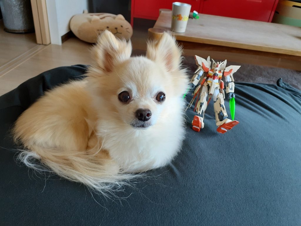 パイロットのルイ中尉