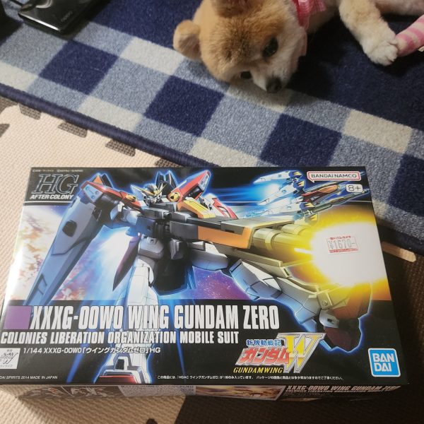 どうも、まろんマロンです。F91の方塗装進めてたんですが昨日F91の悲劇(訳：ソシャゲのGジェネでガチャを天井分回してもF91どころかURユニットが1体も来なかったので泣く泣くpt交換でF91とシーブックをゲットした)が起こった為F91作成のモチベがガッタガタになってしまい気分転換も兼ねて積んでるやつを作成することにしました。注：HGACの方です。RGではありません(買えたら作りたいなとは思ってる)。（2枚目）