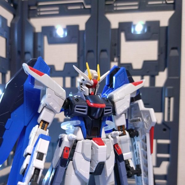 ZGMF-X10A フリーダムガンダム