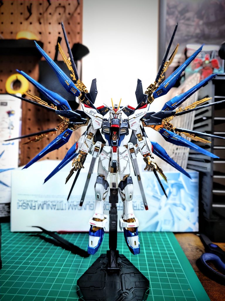 ＲＧストライクフリーダムガンダム
