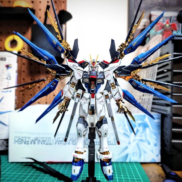 ＲＧストライクフリーダムガンダム