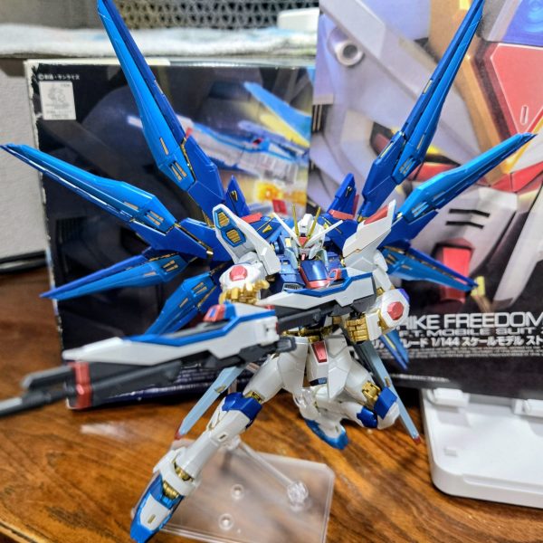 RG ストライクフリーダム