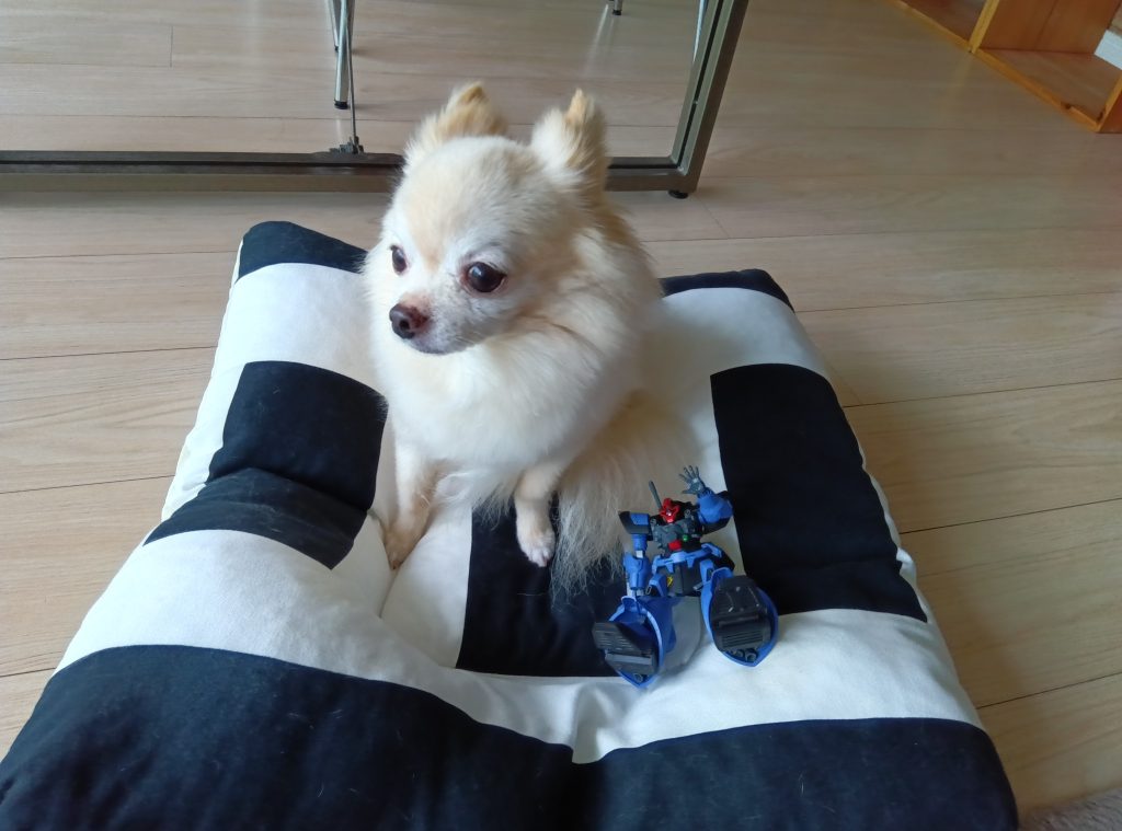 今回も、仲良くはなれませんでした。