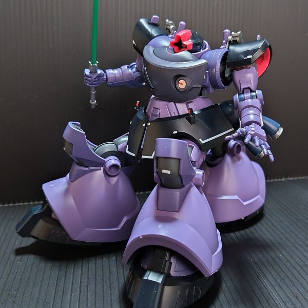 ドムの日に出遅れました……