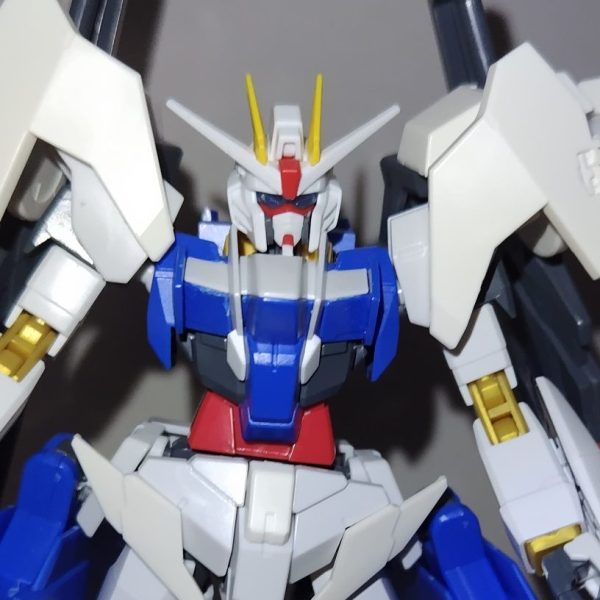 ZGMF-X10A/D デュアルフリーダムガンダム(仮組み)