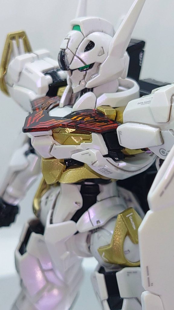 写真にするとスミ入れの処置がまだまだ💦