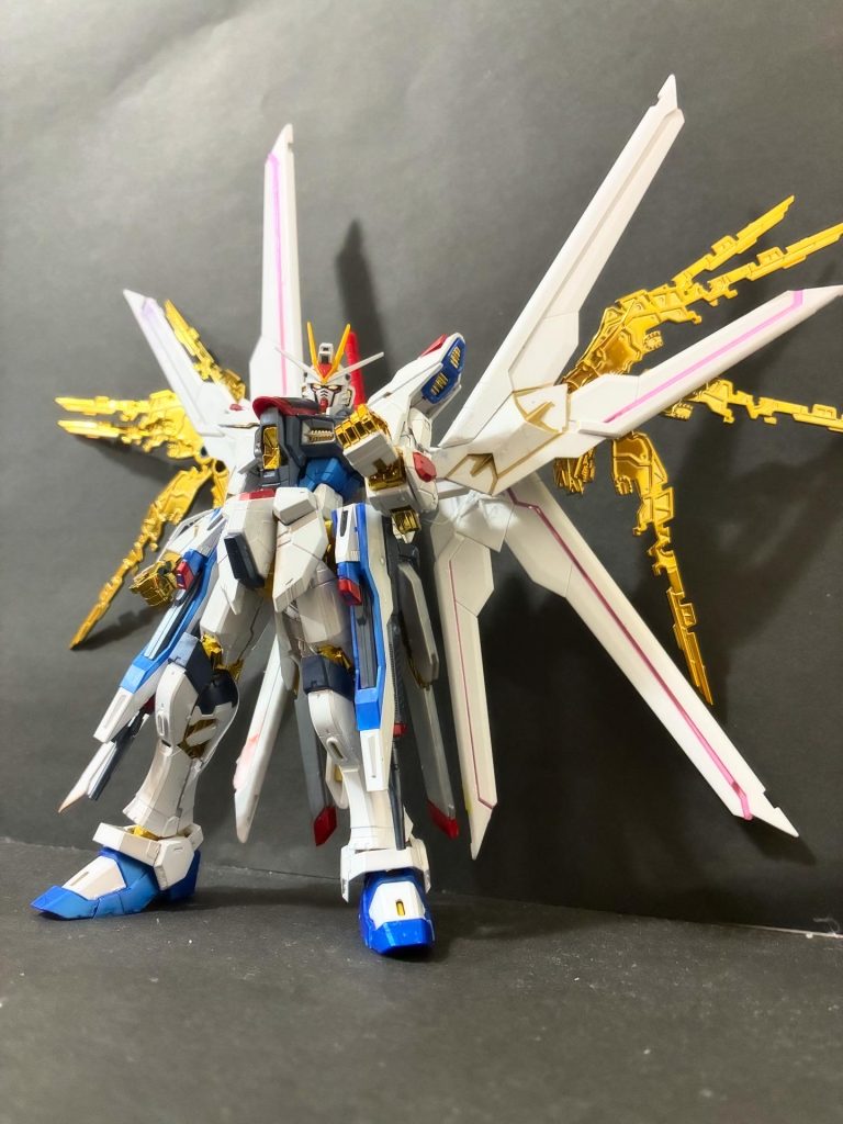 マイティーストライクフリーダムガンダム　RG