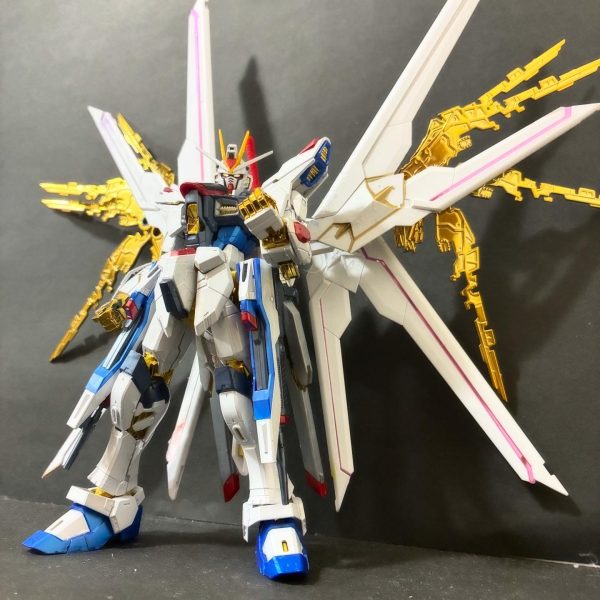 マイティーストライクフリーダムガンダム RG