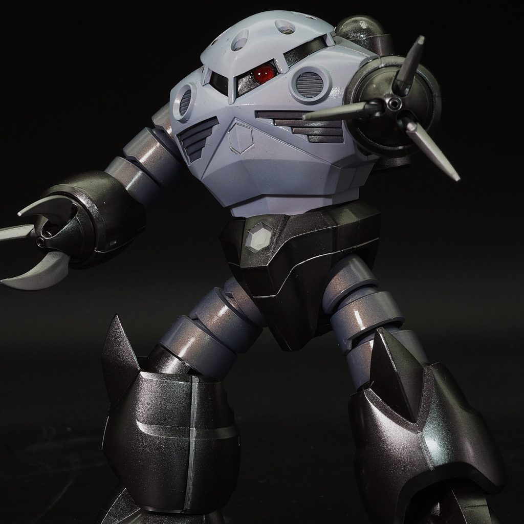 DSC08005-aspect-ratio-750-750-