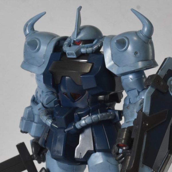 何かをしたグフカスタム