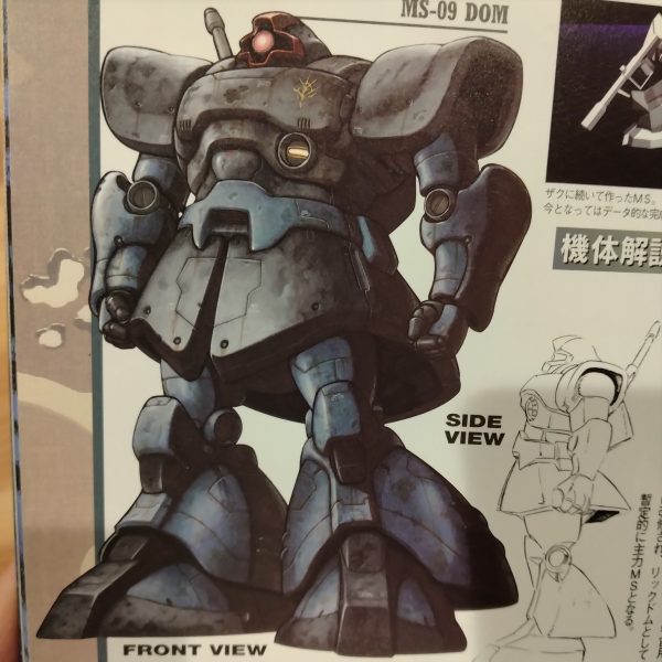 ジムと並行して