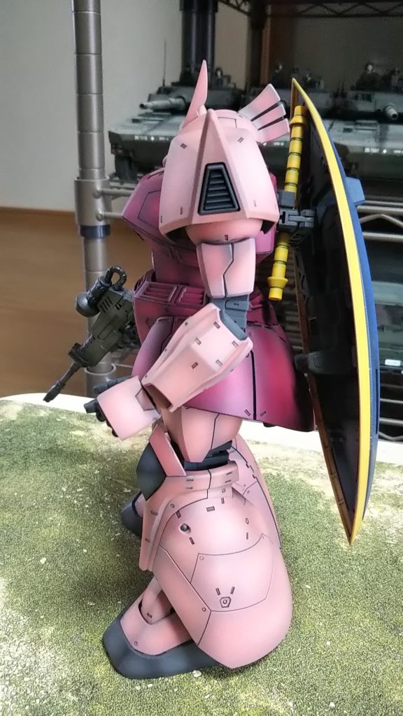 左側面、へたらない膝関節がよい仕事している