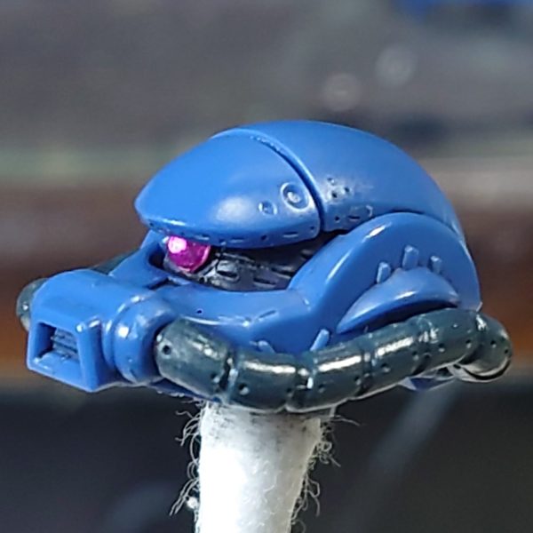 帰ってきたぜよ〜