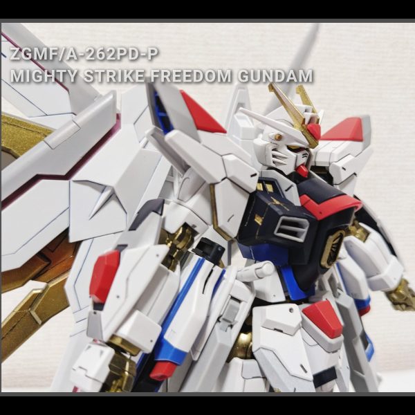 「僕は自分の手で未来を選ぶ」マイティストライクフリーダムガンダム