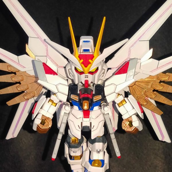 SDCS マイティーストライクフリーダム＆ストライクフリーダム弐式